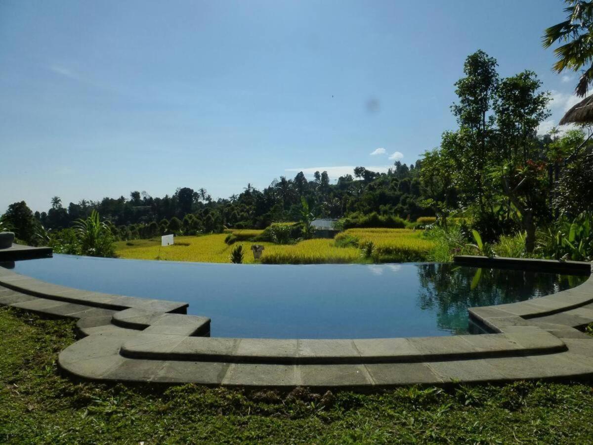 Pondok Apsari 2 Сингараджа Экстерьер фото