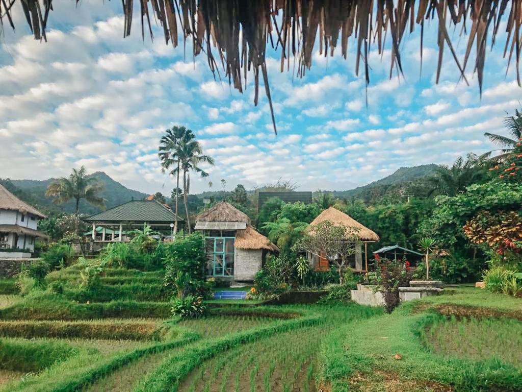 Pondok Apsari 2 Сингараджа Экстерьер фото
